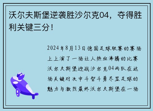 沃尔夫斯堡逆袭胜沙尔克04，夺得胜利关键三分！